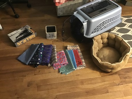 25931956-823F-4EBB-A7C5-949947ED8B8E