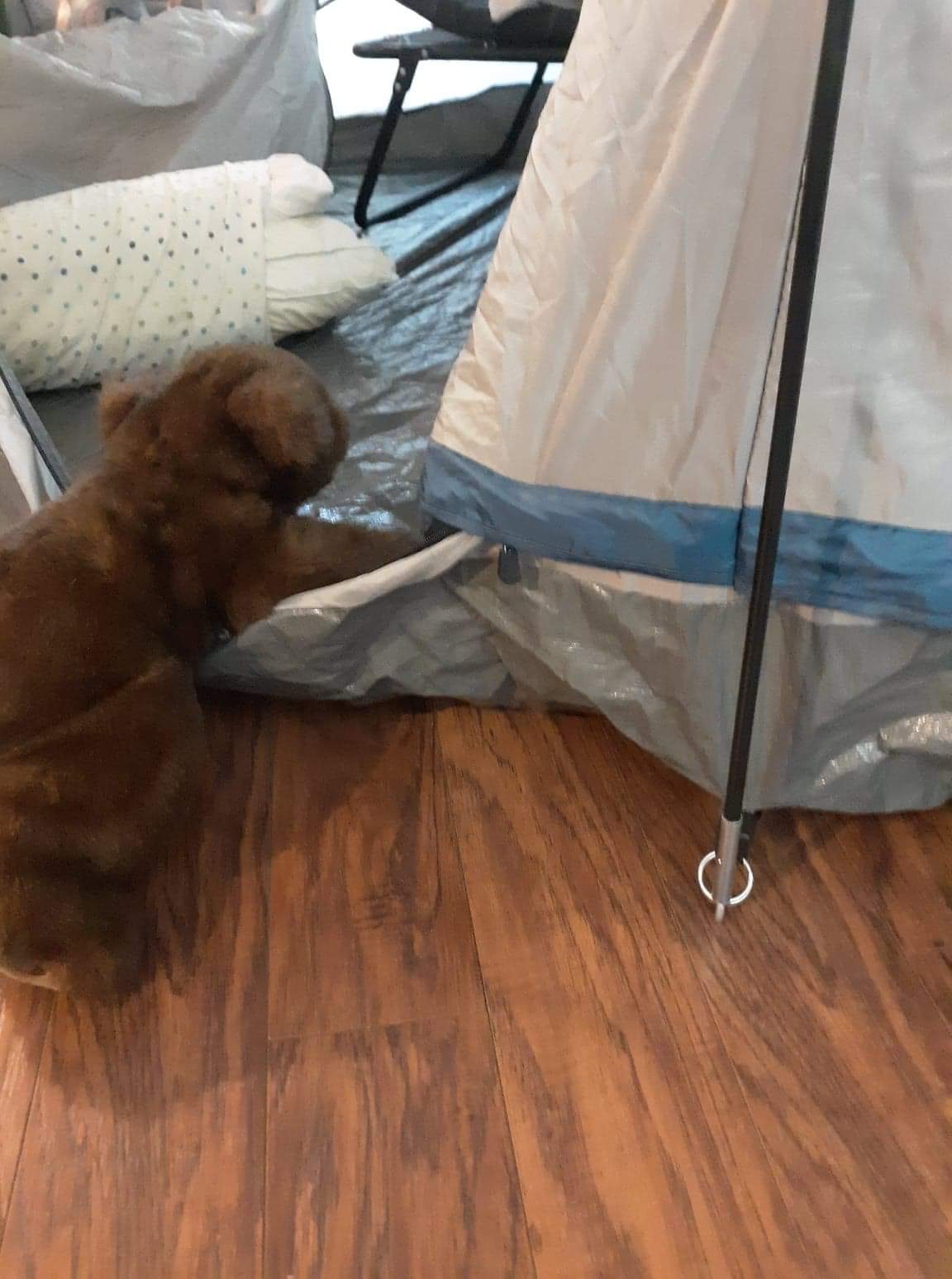 2E8D7ECE-BA28-4451-9898-9E4FDE704A4E