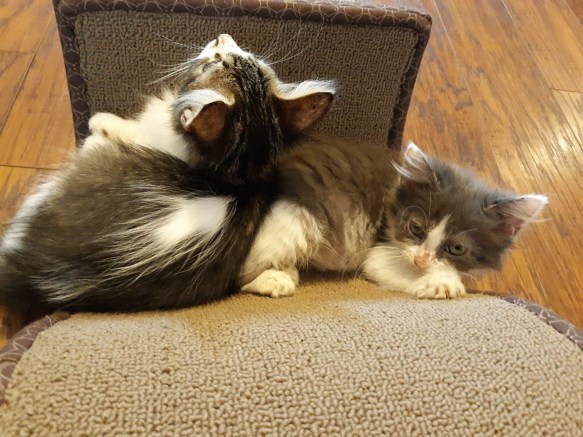 618D7F8A-DC4E-4EEB-865D-95AB75554B90